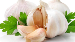 garlic2